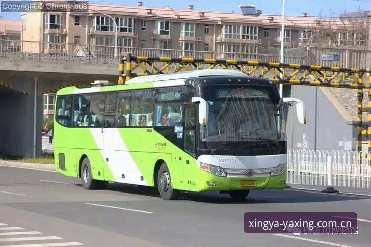 老机子也能顺畅跑亚星官网？兼容版入口三个月的实测心得